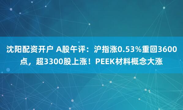 沈阳配资开户 A股午评：沪指涨0.53%重回3600点，超3300股上涨！PEEK材料概念大涨